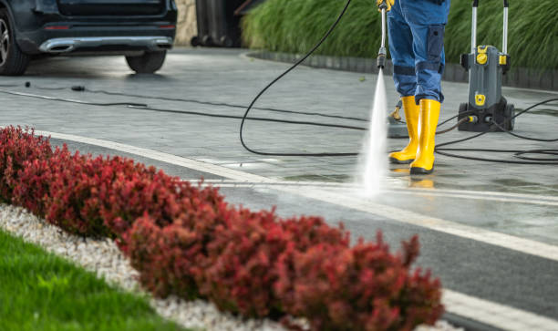 Best Patio and Deck Pressure Washing  in Sammamish, WA